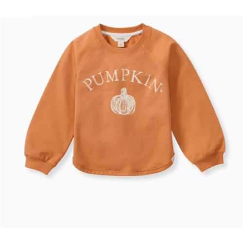 Pumpkin Organic Cotton Sweatshirt – Burt's Bees Baby