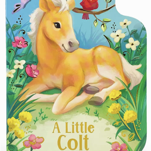 A Little Colt: A Baby Horse Board Book Story
