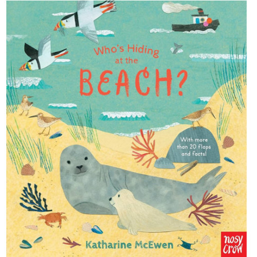 Who's Hiding at the Beach?