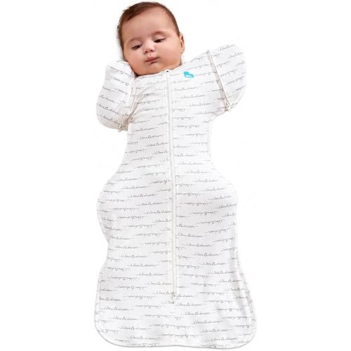 Love to Dream Swaddle Up 2-in-1 Transition Bag | 1.0 TOG, 19-24lbs, Dreamer