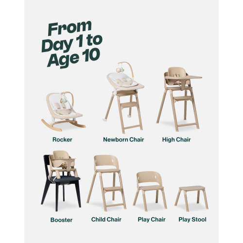 The Chair II Newborn Bundle  / Biscotti