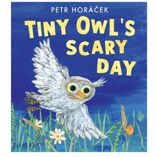 Tiny Owl's Scary Day