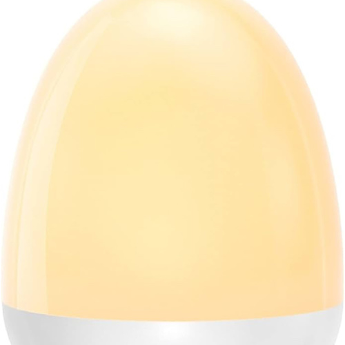 Amazon.com : egg night light