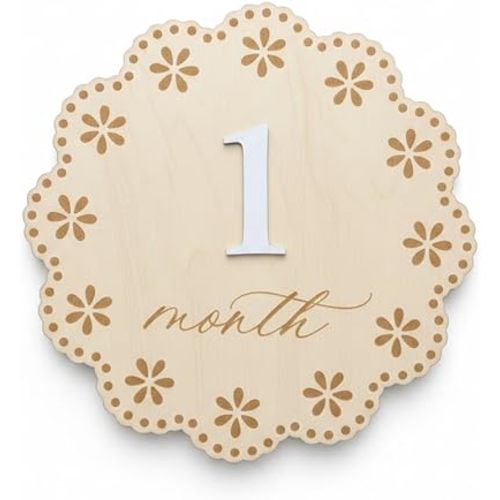 Baby Milestone Signs 1-12 Months, Wooden Milestone Discs with Interchangeable Numbers, Monthly Baby Milestone Double-Sided for Newborn Photography, Nursery Room Decoration (QR4)