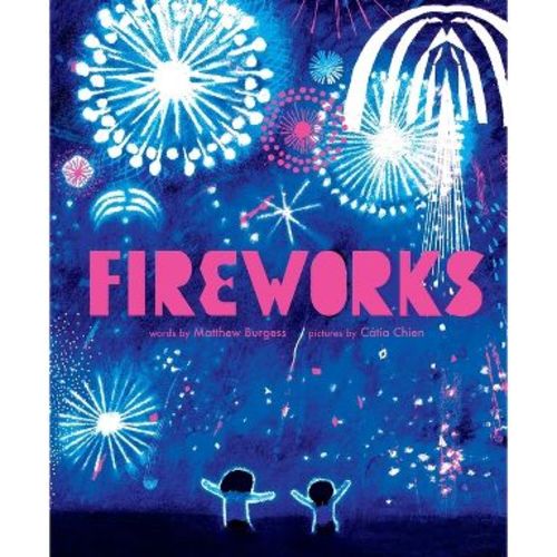 Fireworks - by Matthew Burgess (Hardcover)
