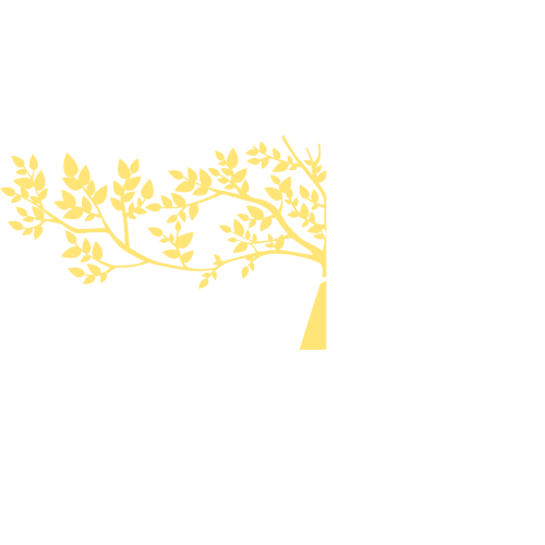 Prenatal Massage | The Tree Organic Wellness Spa – Brookline, MA