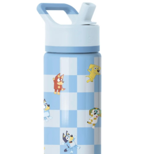 Summit Water Bottle with Straw Lid