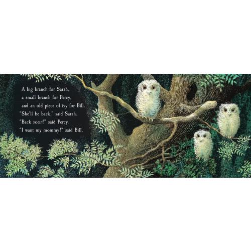 Owl Babies Padded Board Book by Martin Waddell, Patrick Benson | Old Town Books Royal Street