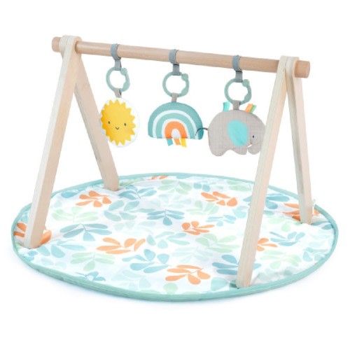 Ingenuity Sun Valley Wooden Toy Arch & Play Mat