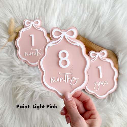 Bow Acrylic Milestone Set, Monthly Milestone Set, Acrylic Milestone Discs, Changeable Milestone Cards, Monthly Photo Props, Bow Milestones