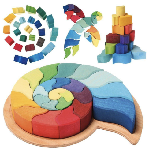 Large Ammonite Snail - Wooden Puzzle Blocks