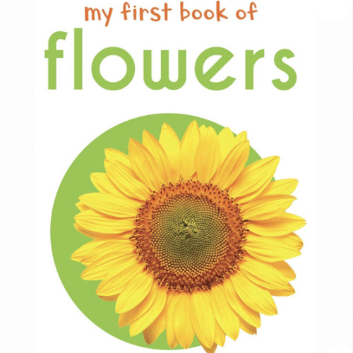 My First Book of Flowers: First Board Book