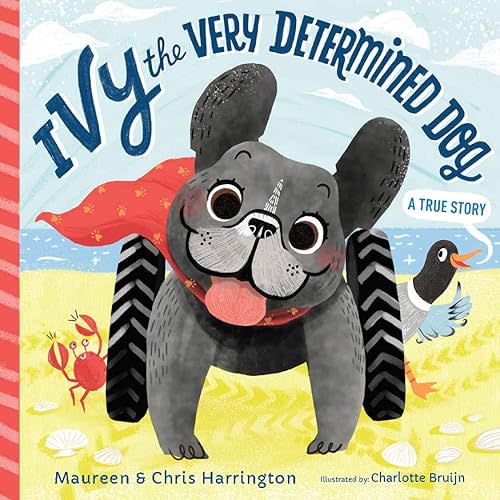 Ivy the Very Determined Dog Hardcover – Picture Book, May 15, 2019