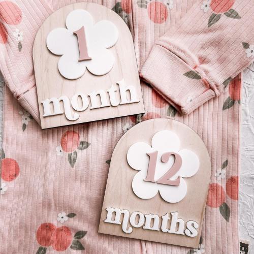 Newborn Baby Monthly Milestones / Wooden Baby Number Signs / Newborn Photo Props / Baby Photo Prop