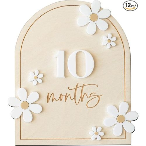 Daisy 3D Baby Monthly Milestone, Wooden Baby Milestone Signs, Monthly Milestone Wood Discs, Baby Milestone Discs (Daisy)