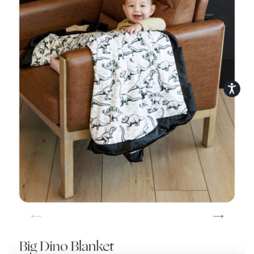 Big Dino Plush Blanket | Minky Couture