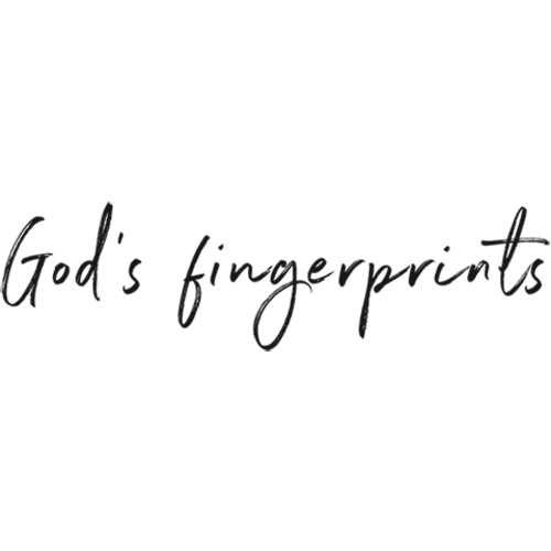 His Name Shall Be Called - Illuminated Edition (Gold)