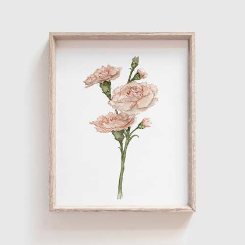 Carnation Art Print | Made in the USA | Fox Hollow Studios – Tabitha Paige
