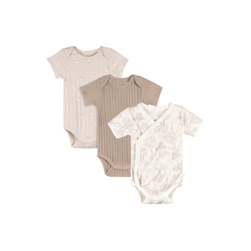 Assorted 3-Pack Bodysuits, 0-3M