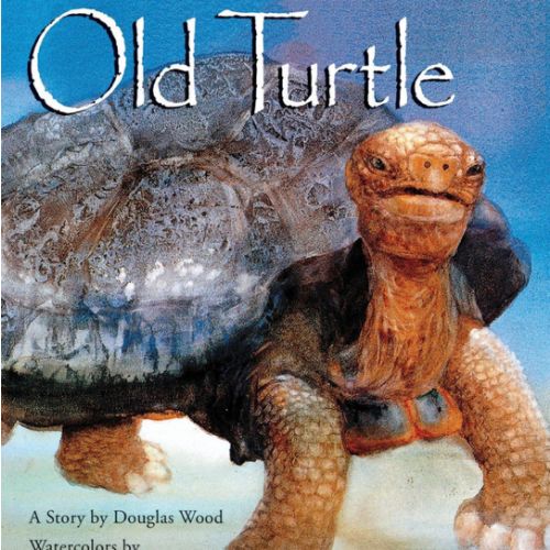 Old Turtle (Lessons of Old Turtle)