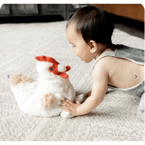 Warmies Chicken Stuffed Animals | Weighted Chicken Plush