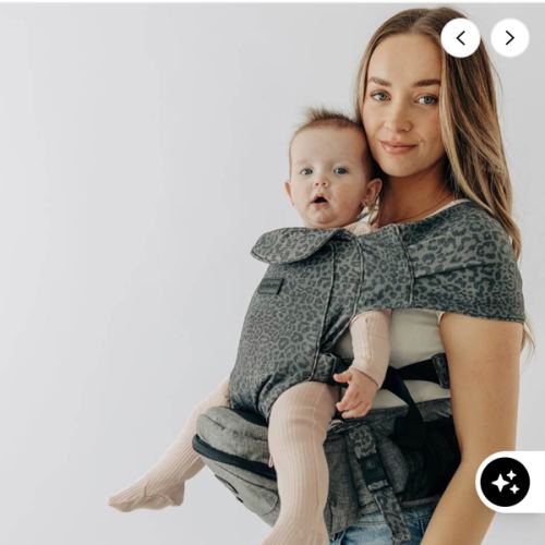 2-in-1 Convertible Carrier