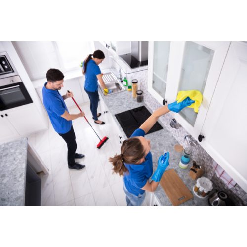 During Birth House Cleaners