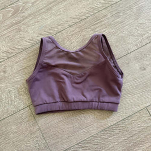 Purple Pixies, Mesh Back Reflection Crop Top in Plum Purple, CM Child – Dancewear Resale 3.0