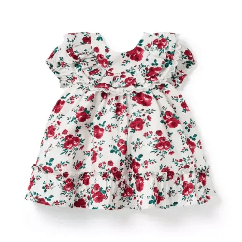 Baby Cream And Sugar Floral Baby Floral Lace Trim Dress by Janie and Jack