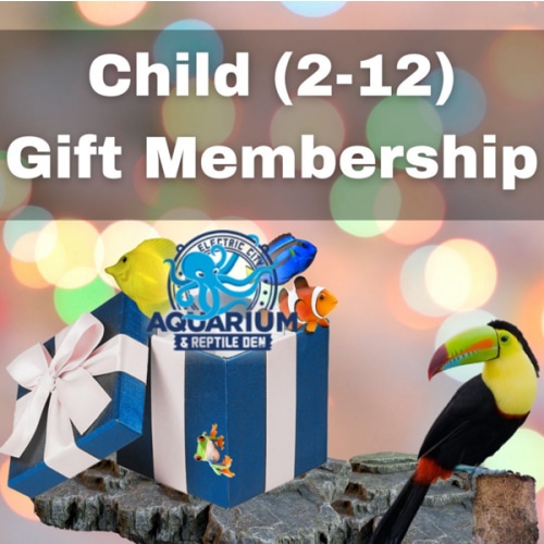 Child Electric City Aquarium Yearly Membership