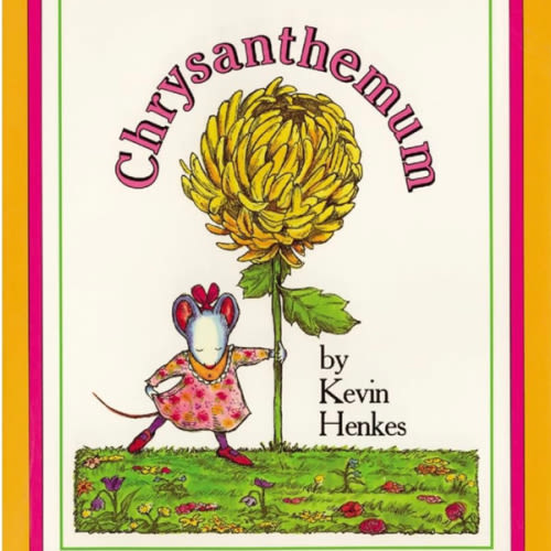 Chrysanthemum