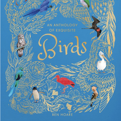 An Anthology of Exquisite Birds: Discover the Beauty of the Avian World (DK Children's Anthologies)