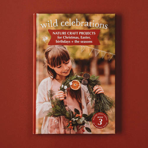 Wild Celebrations Book | Nature craft for Christmas, Easter, Birthdays and the Seasons | Your Wild Books