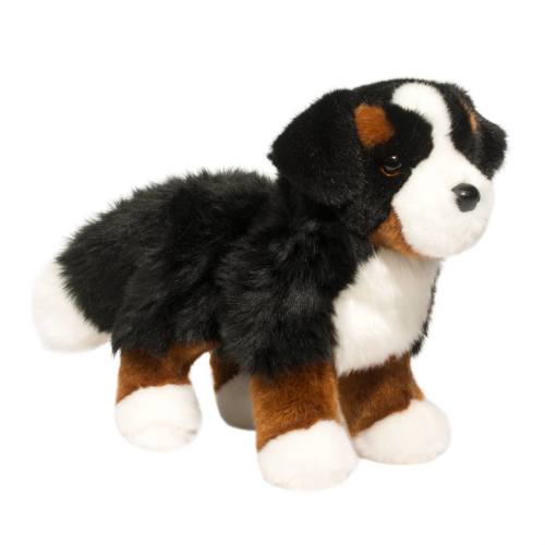 Bernese Mountain Dog