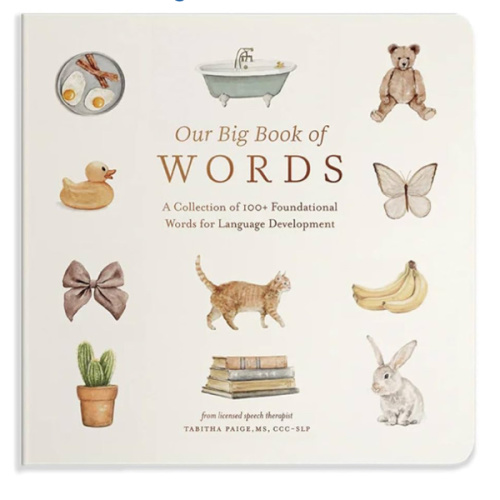 Our Big Book of First Words: A Collection of 100+ Foundational Words for Language Development (Tabitha Paige Children's Book Series)