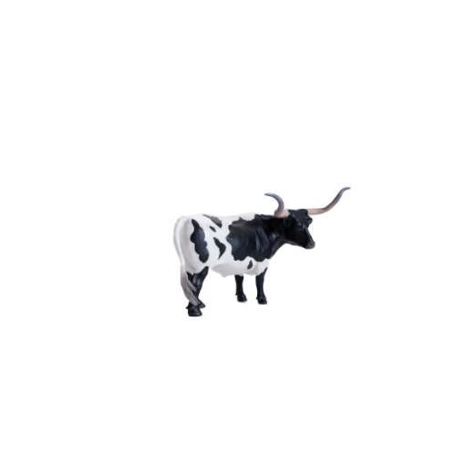 Texas Longhorn Steer Black & White
