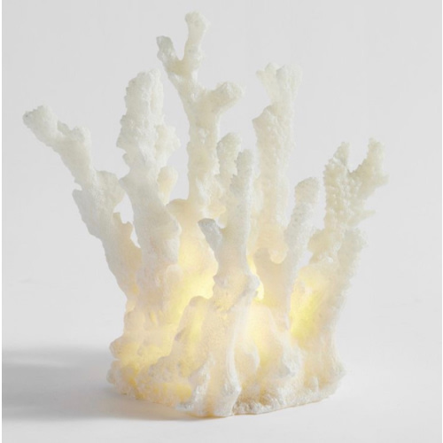 Lit Finger Coral | Pottery Barn