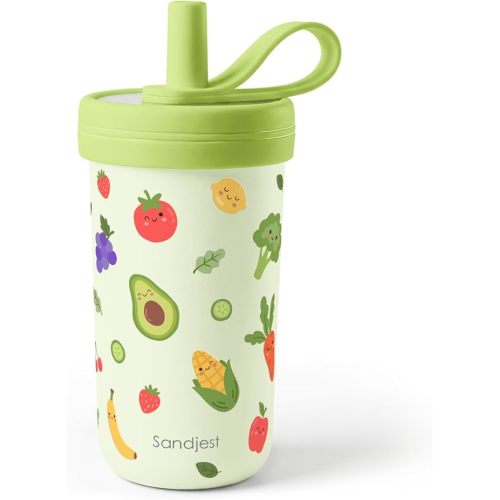 SANDJEST Kids Stainless Steel Tumbler with Silicone Straw 14oz, Fruit Insulated Drinking Cup for Children, Girls, Boys for Back To School, Birthday