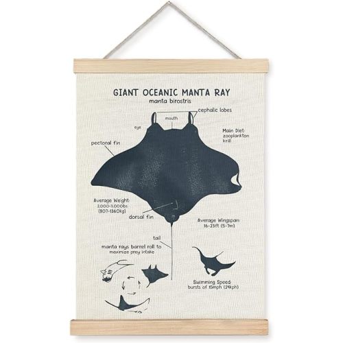 ignytiger Sea Life Anatomy of Manta Ray Wall Art, Ocean Marine Life Educational Canvas Wall Art Poster Framed for Classroom Bathroom Nursery Beach Decor, 12x16 Inches