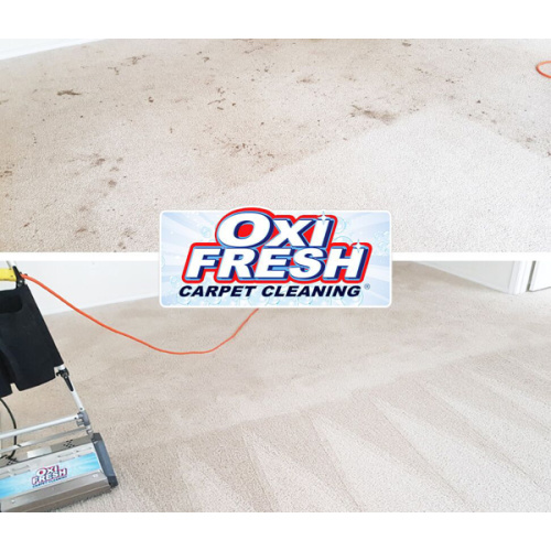 Oxi Fresh Carpet Cleaning - $230