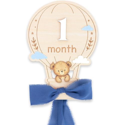 Baby Monthly Milestone Signs, 1–12 Month Baby Milestone Markers, Newborn Photography Props, Nursery Decor, Baby Growth Photo Cards (Blue D15)