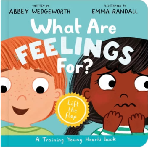 What Are Feelings For? Board Book: A Lift-the-Flap Board Book (Christian behavior book for toddlers encouraging emotional health and resilience.) (Training Young Hearts)