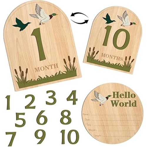 Mallard Duck Hello World Newborn Signs - Hello World Newborn Announcement Nursery Decor Keepsake Gifts Baby Birth Name Wooden Announcement Sign Plaque for Photo Props Baby Shower Hospital Nursery
