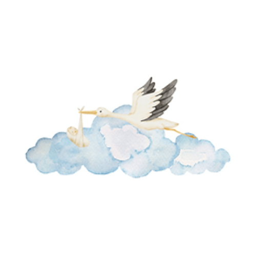 Baby Bib | Secret Stork Co