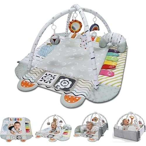Aila+Aiden Baby Gym Play Mat, 8-in-1 Tummy Time Mat & Activity Gym, Washable Ball Pit, Infant Play Mat with Detachable Toys for Sensory Exploration and Motor Skill Development