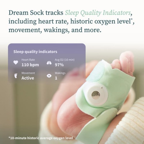 Owlet Dream Sock (Sm Sock)