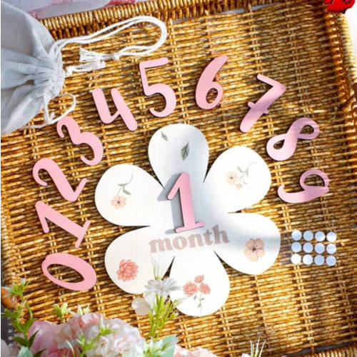 SHEIN Newborn Baby Girl Milestone Numbers Wooden Board Set Photography Prop