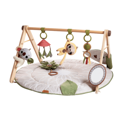 Tiny Love Boho Chic Luxe Developmental Gymini