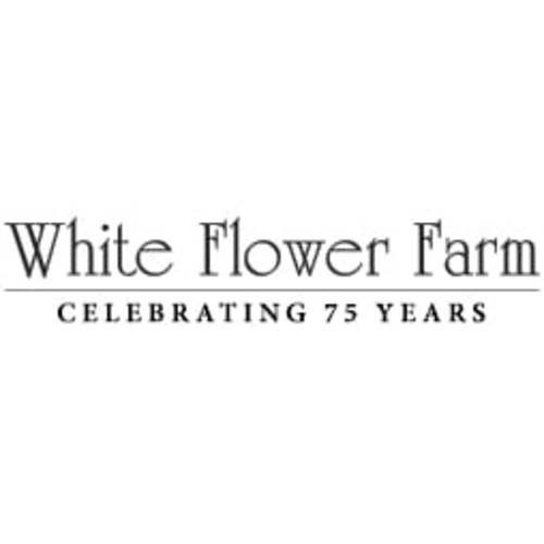 Glass Window Bird Feeder | White Flower Farm