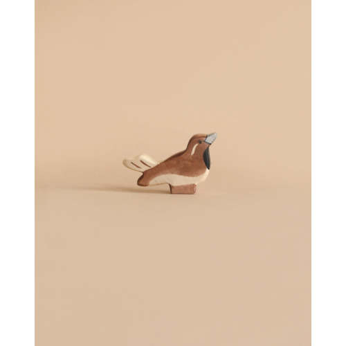 Holztiger Sparrow Bird